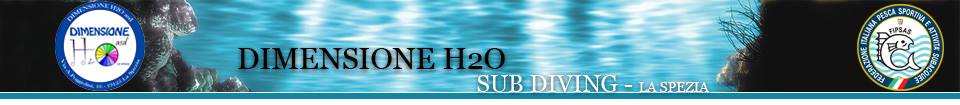 dimensione h2o